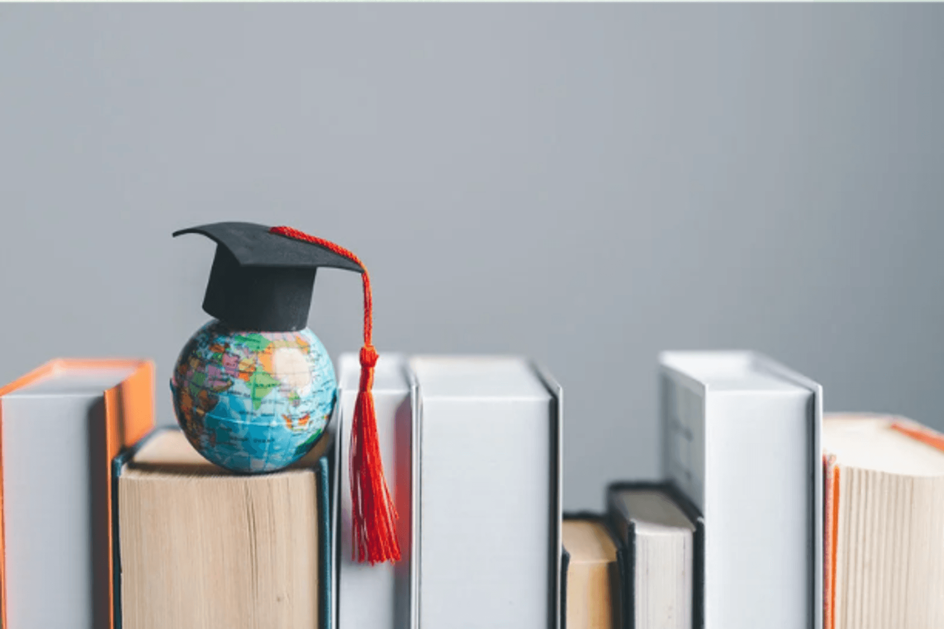Study Abroad Consultancy
